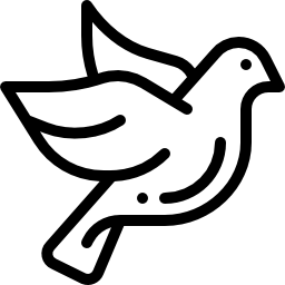Bird Symbols