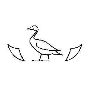 Duck Symbols